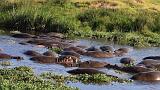 TANZANIA - Ngorongoro Crater - 73